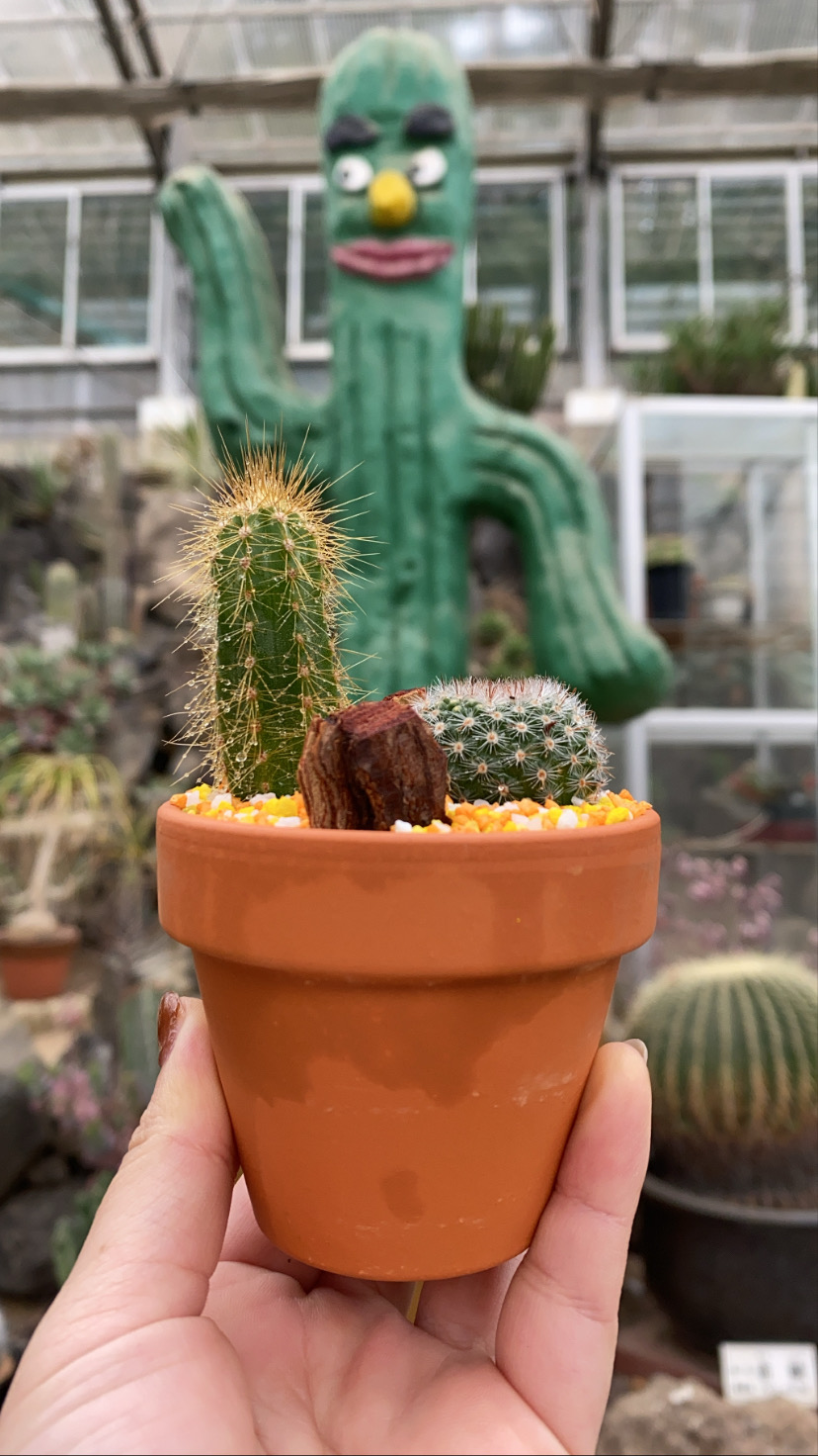 アバター画像