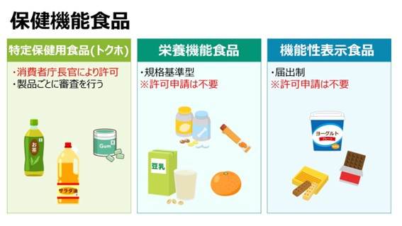 管理栄養士解説】特定保健用食品、栄養機能食品、機能性表示食品～健康 