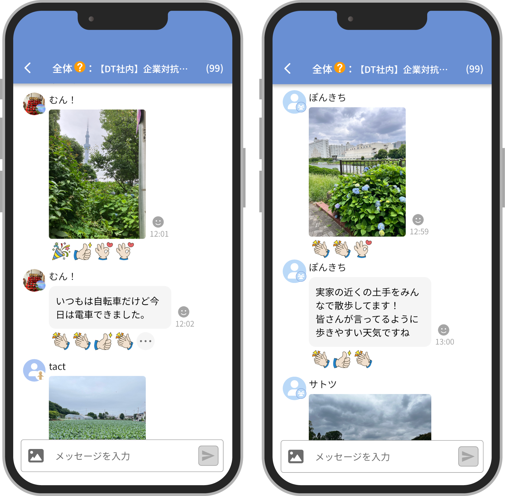 代替テキスト2